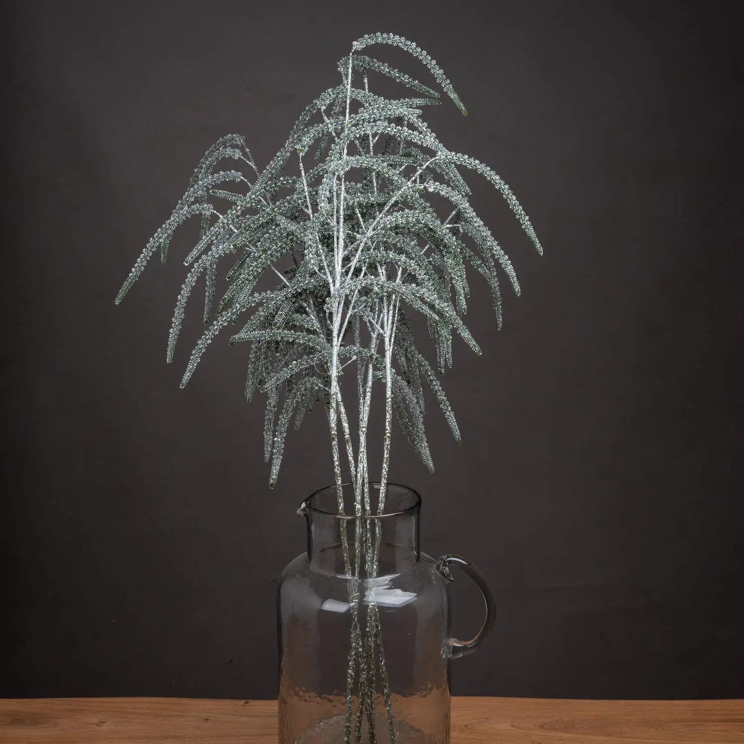 Dark Slate Gray Festive Amaranthus
