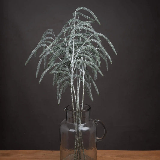 Dark Slate Gray Festive Amaranthus